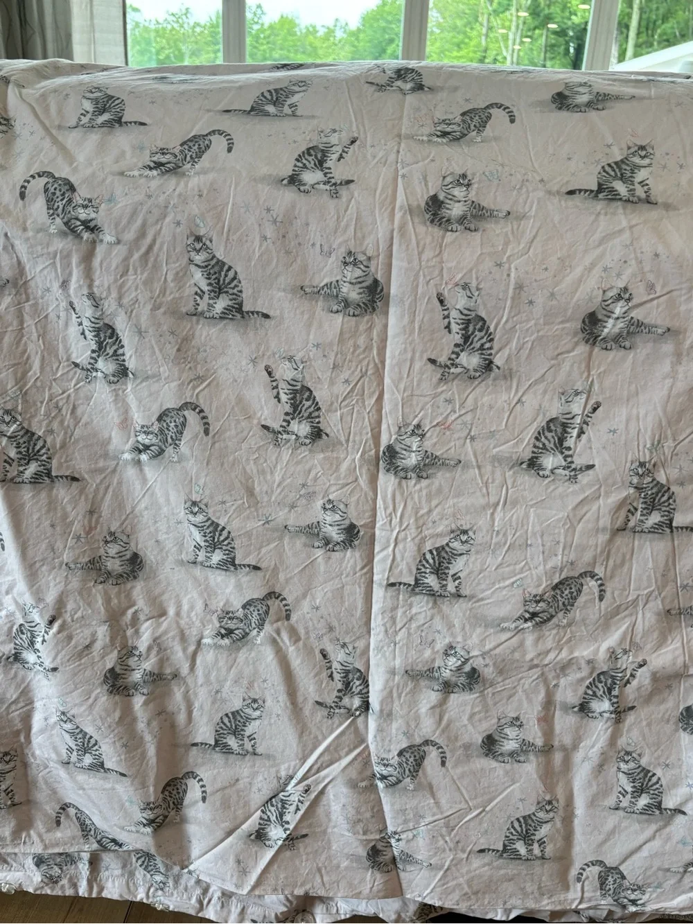Pottery barn kids twin duvet cats